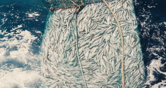 RELATED PROJECT 536x284 MANGER