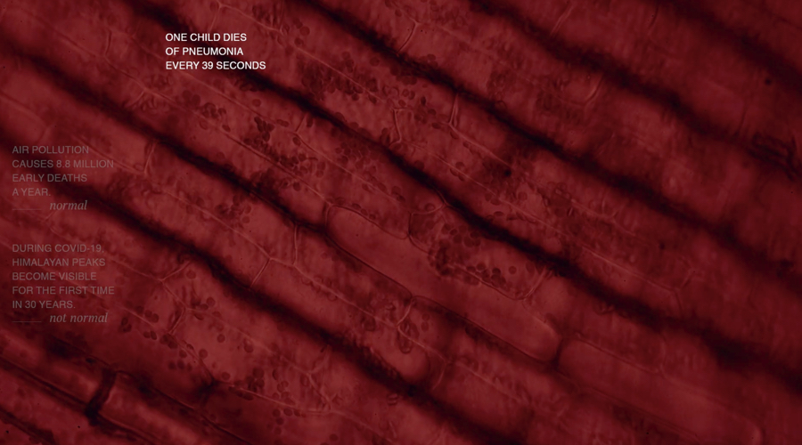 IMG 2_THE NEXT NORMAL