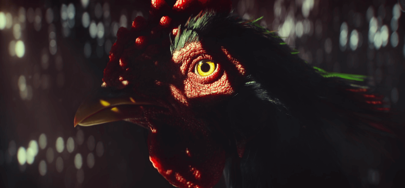 FC6_COVER IMAGE 1610x750